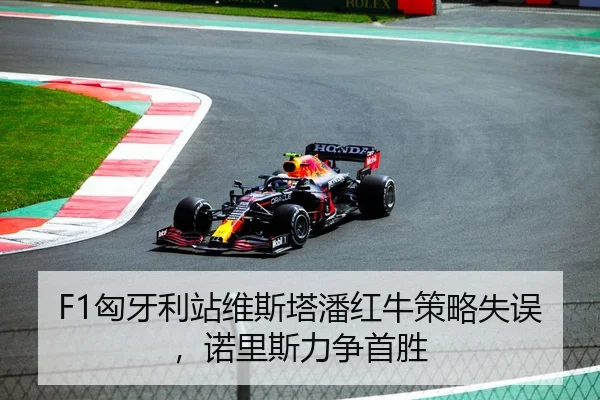 F1匈牙利站维斯塔潘红牛策略失误，诺里斯力争首胜